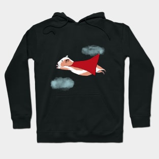 Guinea Pig flying between clouds Hoodie